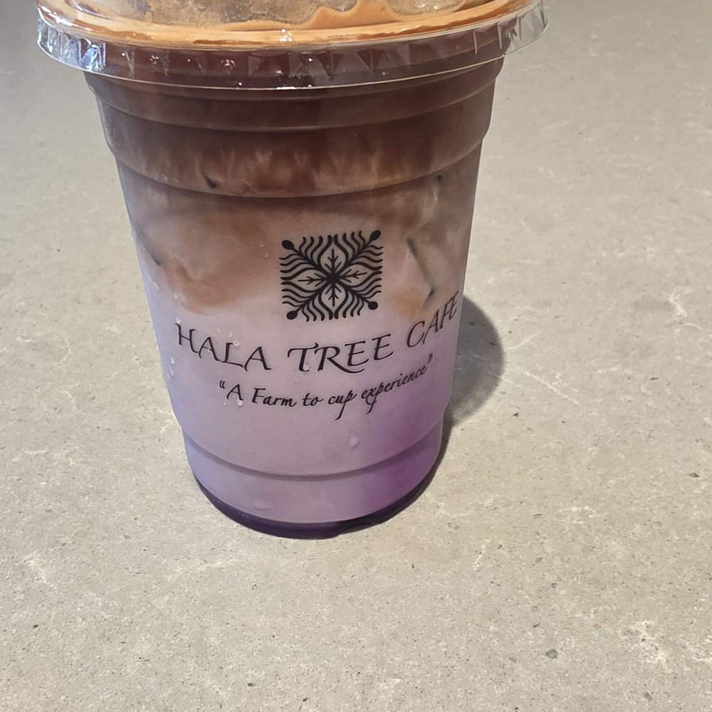 Hala Tree Cafe - Ube latte - Coffee & Tea Near Me - Honolulu, Hawaii