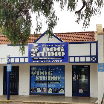 About Town Dog Studio - About Town Dog Studio - Glenunga - Pet Groomers Near Me - Glenunga, SA About Town Dog Studio - About Town Dog Studio - Glenunga - Pet Groomers Near Me - Glenunga, SA