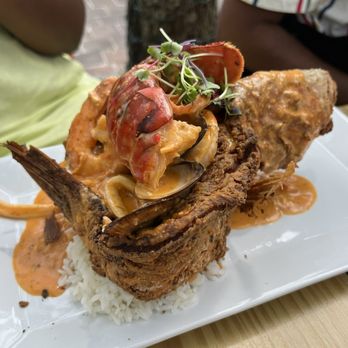 Terra Luna Cafe Providence - Breakfast & Brunch Near Me - Providence, Rhode Island