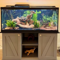 Starborn Aquarium Care & Design