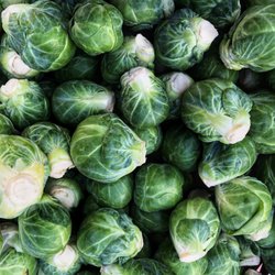 California Avenue Farmers' Market - Beautiful brussels