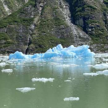 Adventure Bound Alaska - Tracy Arm Fjord - Travel Services Near Me - Juneau, Alaska Adventure Bound Alaska - Tracy Arm Fjord - Travel Services Near Me - Juneau, Alaska