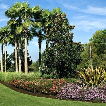 Miguel Landscaping - palm trees and a flower bed - Landscaping Near Me