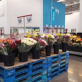 Sam's Club - Tires Near Me - Plano, Texas