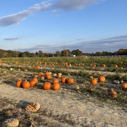 Hanover Vegetable Farm