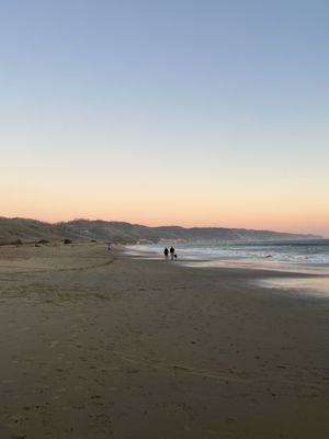 Limantour Beach by null