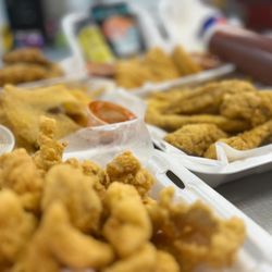 Sharks Chicken and Fish