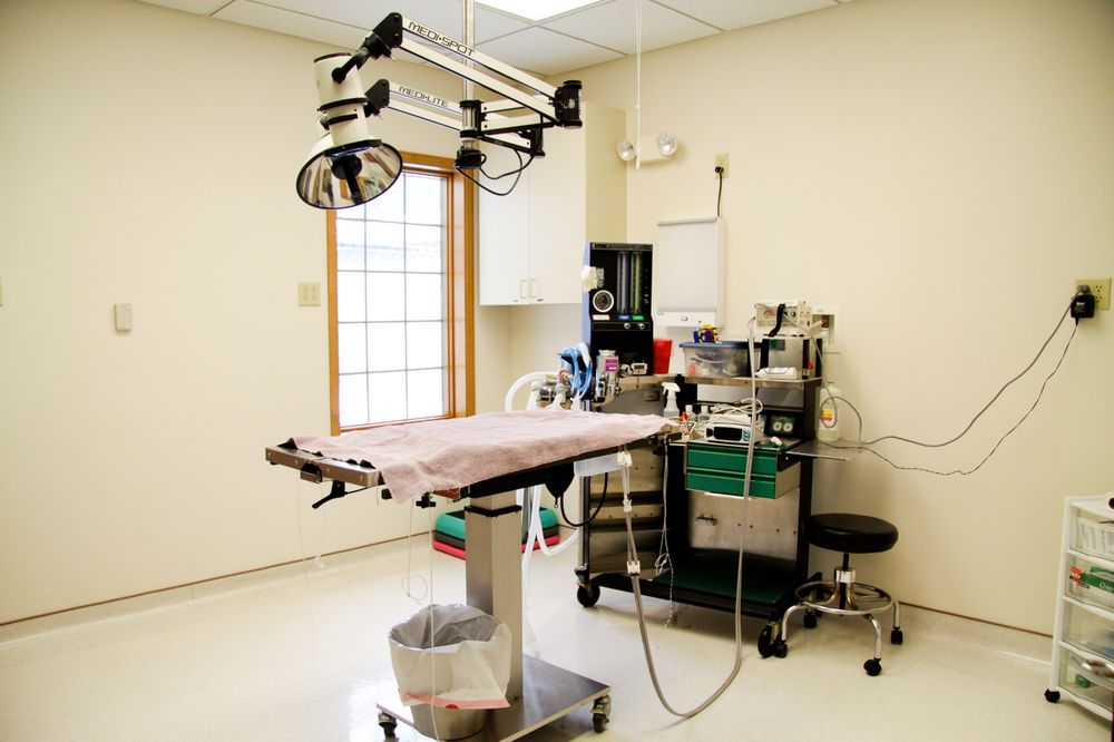 Country View Veterinary Service - pet boarding facility in Oregon, WI