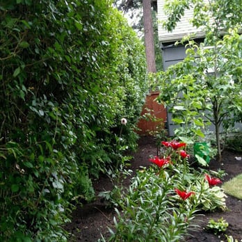 Flora Organic Landscape Maintenance - Planting beds - Landscaping Near Me - Portland, Oregon Flora Organic Landscape Maintenance - Planting beds - Landscaping Near Me - Portland, Oregon