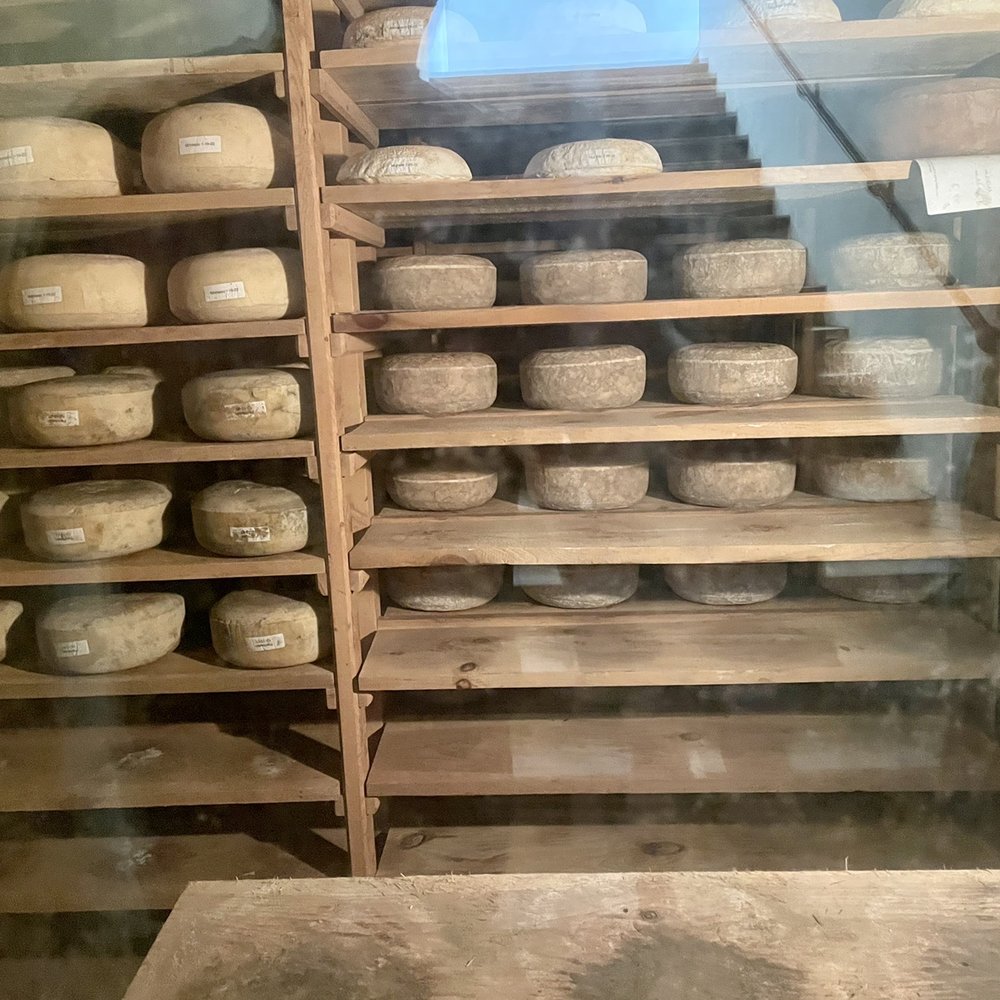 Brazos Valley Cheese - Cheese wheels in the cheese cave - Cheese Shops Near Me - Waco, Texas