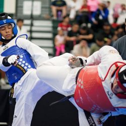Twin Tigers Tae Kwon Do Utah