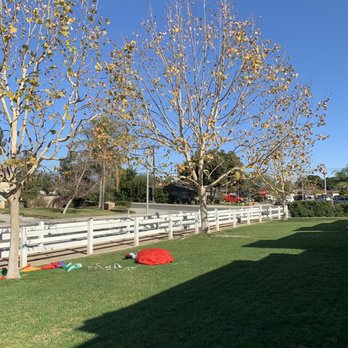 Alfonsos Tree Service - Tree Services Near Me - Chino, California Alfonsos Tree Service - Tree Services Near Me - Chino, California