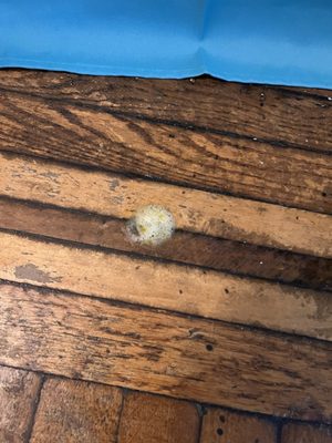 Riverdale Animal Hospital