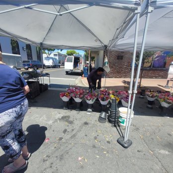 Martinez Farmers' Market - Flowers - Farmers Market Near Me - Martinez, California