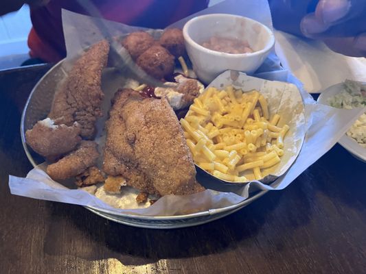 Catfish House by null