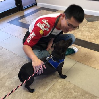 Fantasy Pet Grooming - Pet Groomers Near Me - Missouri City, Texas