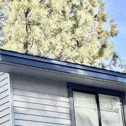 Authentic Roofing