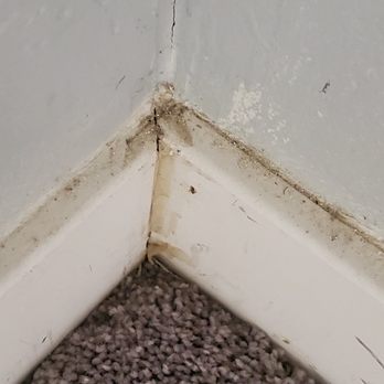 Lazona Restorative Cleaners - Before - Carpet Cleaning Near Me Lazona Restorative Cleaners - Before - Carpet Cleaning Near Me