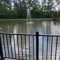 The pond. The pond.