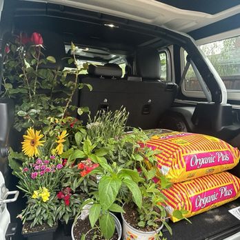 The Home Depot - Essentials - Nurseries & Gardening Near Me - Stockton, California The Home Depot - Essentials - Nurseries & Gardening Near Me - Stockton, California