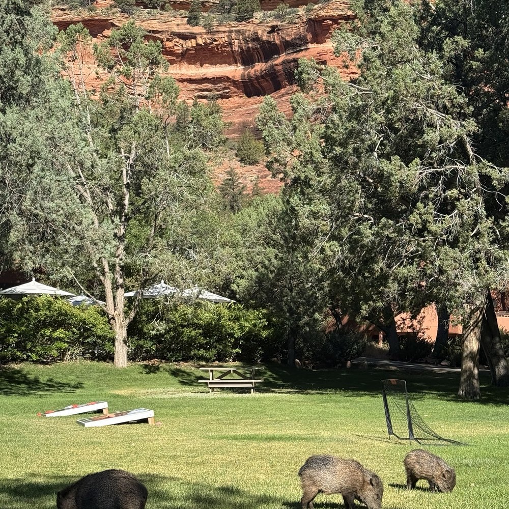 Enchantment Resort - Stay and Munch - Resorts Near Me - Sedona, Arizona