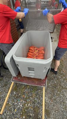 Maine Lobster Festival by null