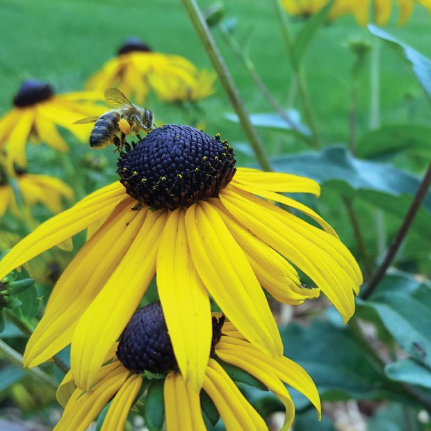 Slide of Benjamin Franklin Plumbing