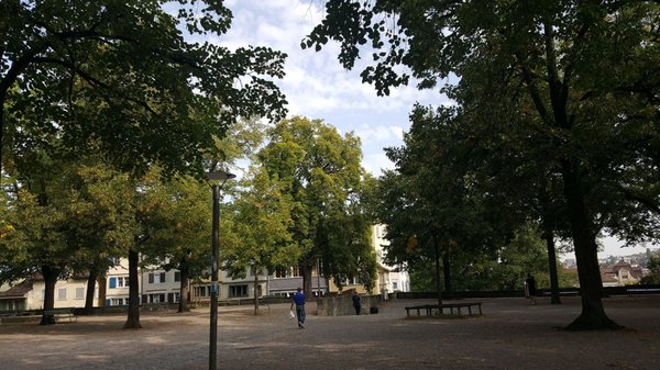 Lindenhof by null