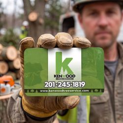 Kenwood Tree Service