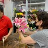 Studio Arts Florist gift card