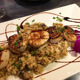 Risotto and Scallops Risotto and Scallops