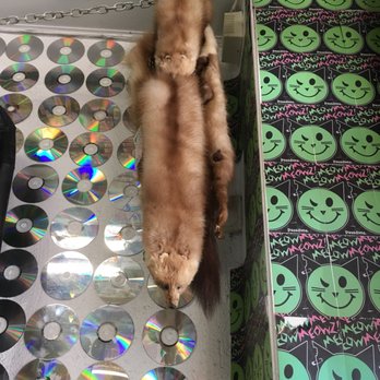 Meowmeowz! - Gothic vintage clothing music posters cd dvd All your rocker needs - Used, Vintage & Consignment Near Me - Pasadena, California