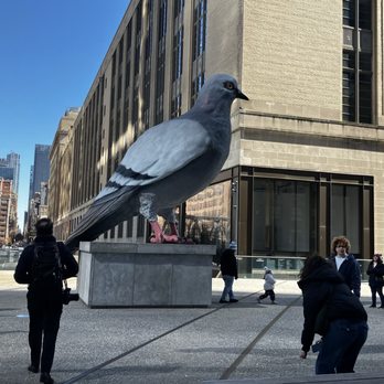 The High Line - The celebrated pigeon on the High Line - Parks Near Me - New York, New York