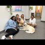 Photo of Home Helpers Home Care of Dallas, TX