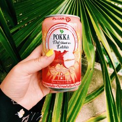 Tchaco Déli - Boisson thé glacé aux litchis