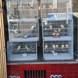 Pet Central - So nice
