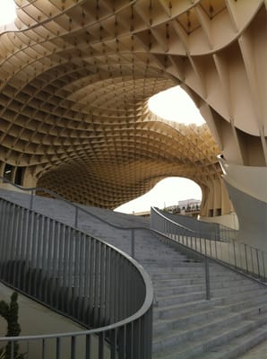 Setas de Sevilla by null