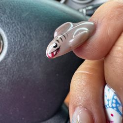 Meet Sammy the shark.