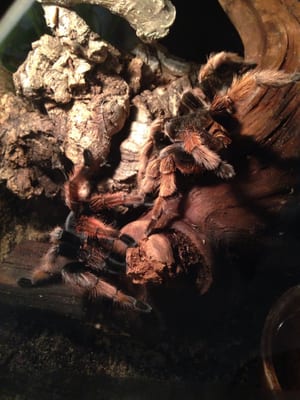 Casa de la Ciencia by null