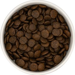 Amber Pet Supplies