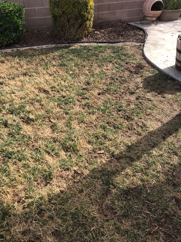 LAWN AND POOL DOCTORS Pool Cleaners 452 E Silverado Ranch Blvd, Las