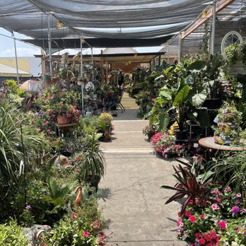 Plant Safari - Nurseries & Gardening Near Me - Upland, California Plant Safari - Nurseries & Gardening Near Me - Upland, California