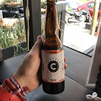 Cerveceria Chapultepec - Bars Near Me - Guadalajara, JAL Cerveceria Chapultepec - Bars Near Me - Guadalajara, JAL