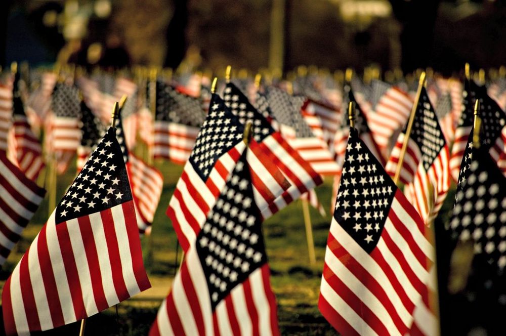 Veteran Entitlement - veterans service organization in Apopka, FL