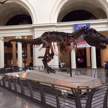 Field Museum - Profile of SUE - Museums Near Me - Chicago, Illinois