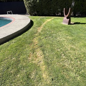 Heritage Professional Landscaping and Maintenance - Burned large areas of grass. - Landscaping Near Me - Kennewick, Washington Heritage Professional Landscaping and Maintenance - Burned large areas of grass. - Landscaping Near Me - Kennewick, Washington