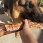 Photo of Centinela Feed & Pet Supplies