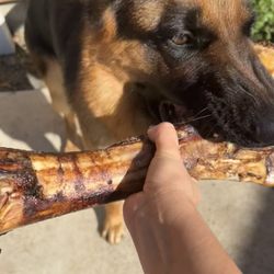 Centinela Feed & Pet Supplies - These are his favorite!!!