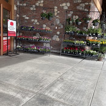Raley's - Seasonal plants.. - Grocery Near Me - Reno, Nevada