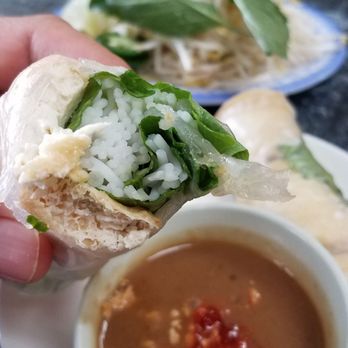 Pho Luc Lac - Tofu spring roll close up - Vietnamese Near Me - Houston, Texas Pho Luc Lac - Tofu spring roll close up - Vietnamese Near Me - Houston, Texas
